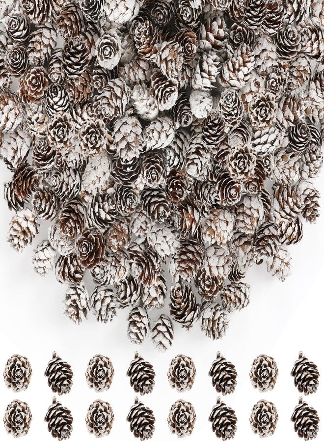 Helimoto 100 Pcs Snow Pine Cones, Mini Pinecones for Craft, Natural Cones Wreath, Christmas Bowl Stuff Winter Decorations Decor Accessories Party Suppliesfor Home Indoor Vase Filler - Image 1